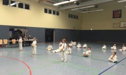 Taekwondo Gürtelprüfung 24.11.17 erfolgreich
