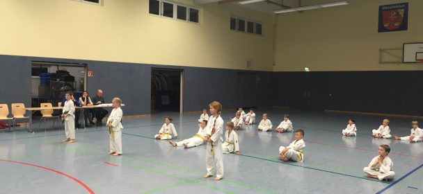 Taekwondo Gürtelprüfung 24.11.17 erfolgreich